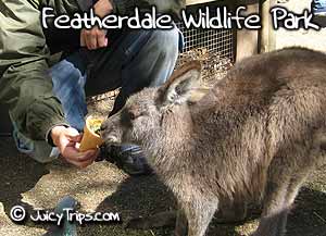 Featherdale Wildlife Park