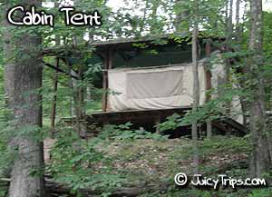 cabin tent