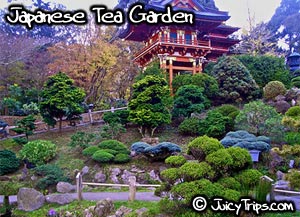 Japanese Tea Garden 